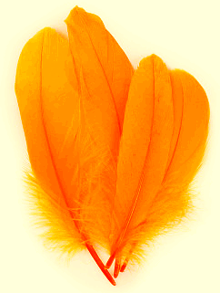 Mango Palette Goose Feathers - 1/4 lb