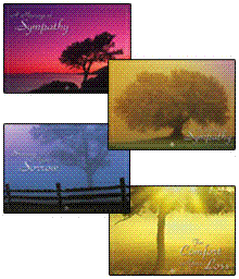 Tree of Life Sympathy Cards - Assortment