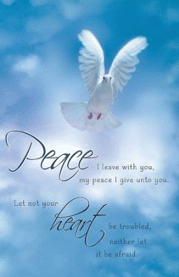 Peace I Leave Dove Mini Poster