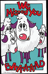Miss You Bad Sheep Postcard