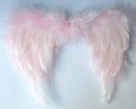 Baby Girl Angel Wings - Feathered Pink