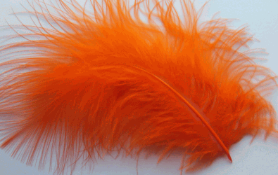 Craft-Feathers-Turkey-Feathers-Turkey-Marabou