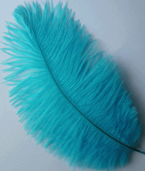 Light Turquoise XL Ostrich Drab Feathers - 1/4 lb
