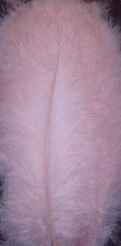Candy Pink Large Ostrich Femina Feathers - 25pc