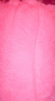 Hot Pink Large Ostrich Femina Feathers - 25pc