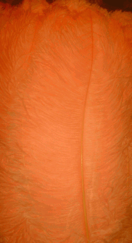 Orange Ostrich Femina Feathers - 25pc