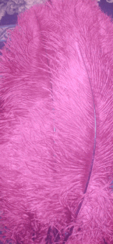 Purple Ostrich Femina Feathers - 25pc