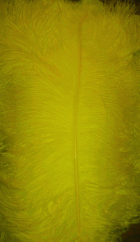 Yellow Ostrich Femina Feathers - 25pc