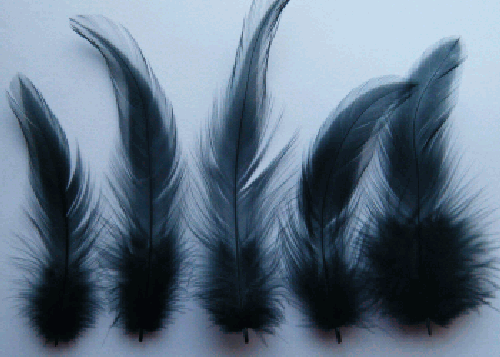 Black Rooster Hackle Craft Feathers - 1/4 lb
