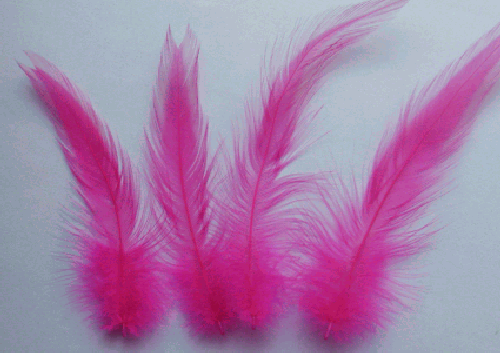 Fuchsia Rooster Hackle Craft Feathers - Mini Pkg