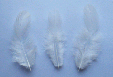 White Rooster Plumage Craft Feathers - Mini Pkg - OUT OF STOCK