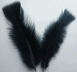 Black Turkey Flat Feathers - Bulk lb