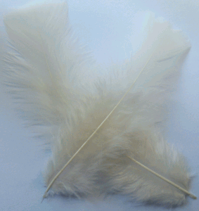 Eggshell Turkey Flat Feathers - Bulk lb