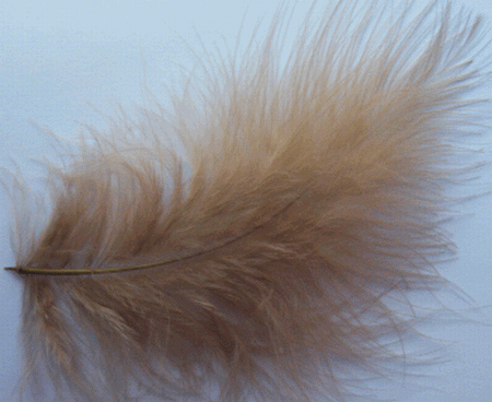 Beige Large Turkey Marabou Craft Feathers - Mini Pkg