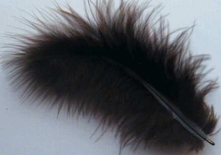 Brown Large Turkey Marabou Feathers - 1/4 lb