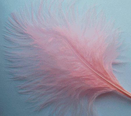 Candy Pink Large Turkey Marabou Feathers - Bulk lb