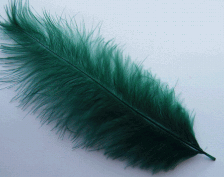 Hunter Green LargeTurkey Marabou Craft Feathers - Mini Pkg