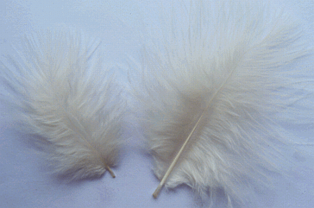 Bulk Eggshell Marabou Turkey Feathers - 1-3 inch Mini Feather Size - 1/4 lb pkg
