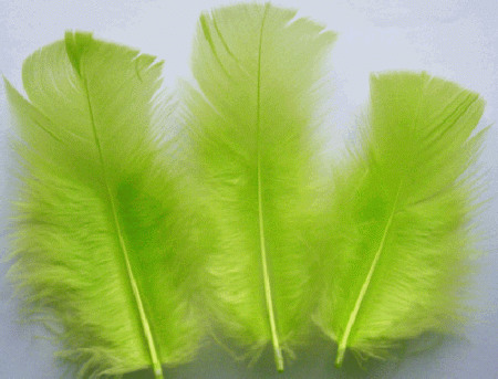 Lime Turkey Plumage Feathers - Mini Pkg