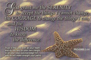 Serenity Starfish Pocket Card - Only 6 Left