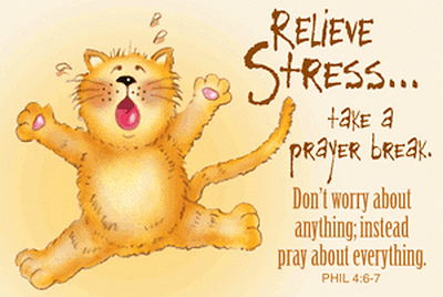 Relieve Stress Cute Cat Pocket Card
