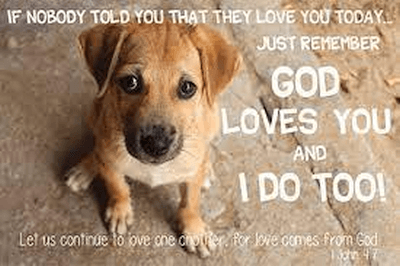 God Loves You Puppy Pocket Cards