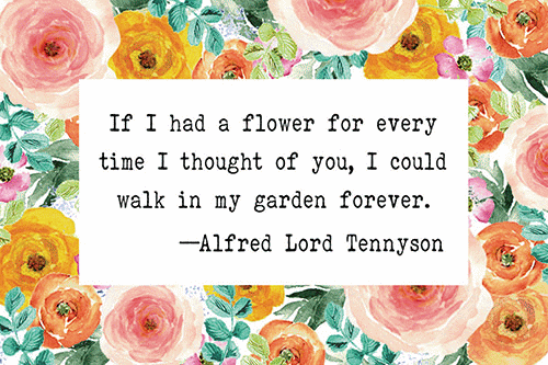 Flower for Every Thought of You Pocket Card