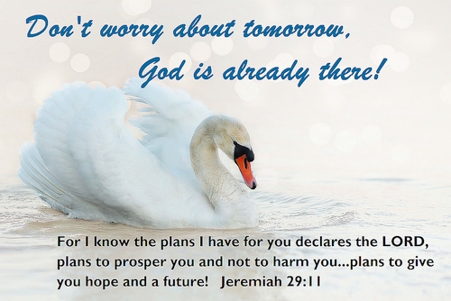 Dont Worry about Tomorrow Scripture Card - ON SALE
