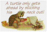 Turtle Gets Ahead by...Critter Pocket Card