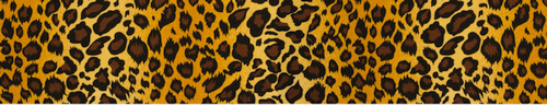 Animal Print Leopard Borders
