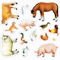 Animal-Pet-Stickers