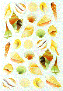 Georgeous Sea Shell Stickers