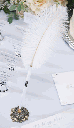Wedding-Pillows-Feather-Pens_Guestbooks