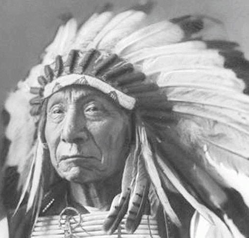 Indian chief headdress war bonnet