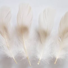 Ivory Nagoire Goose Feathers