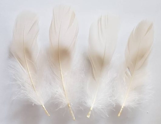 Ivory Nagoire Goose Feathers