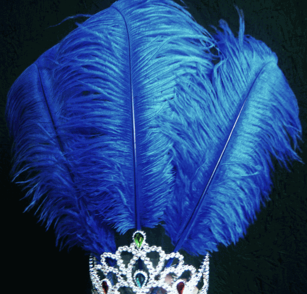Ostrich headdress